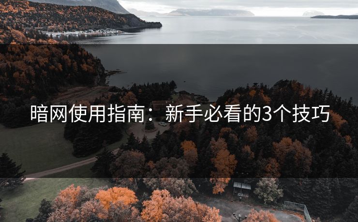 暗网使用指南：新手必看的3个技巧