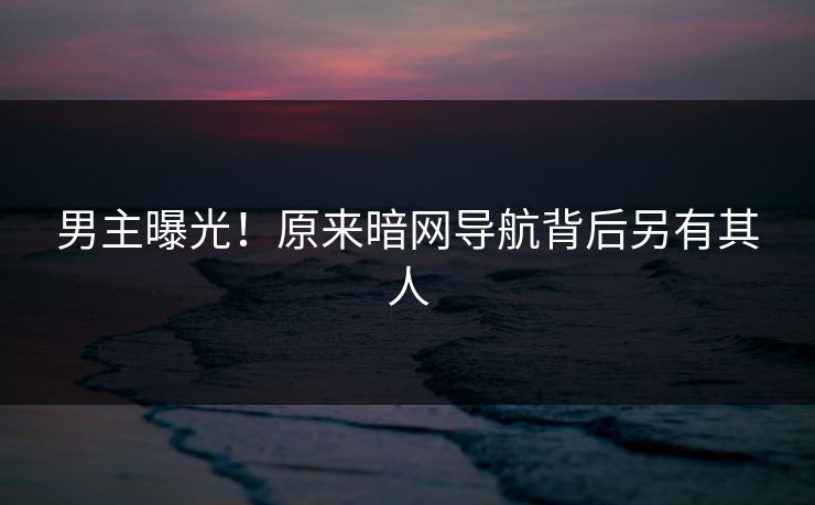 男主曝光！原来暗网导航背后另有其人