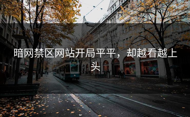 暗网禁区网站开局平平，却越看越上头