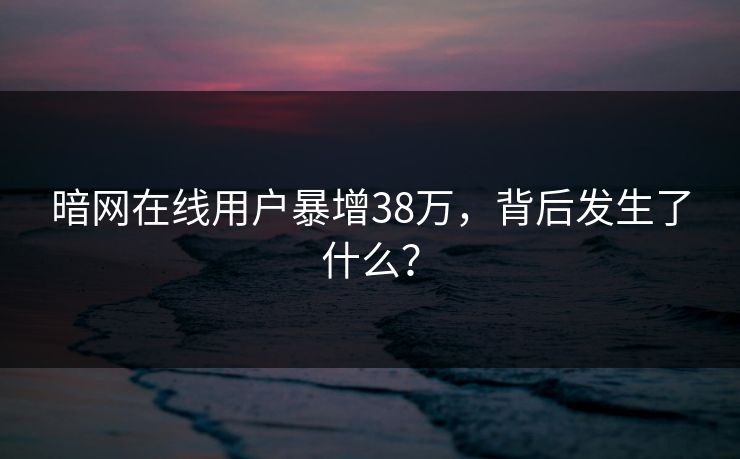 暗网在线用户暴增38万，背后发生了什么？