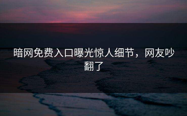 暗网免费入口曝光惊人细节，网友吵翻了