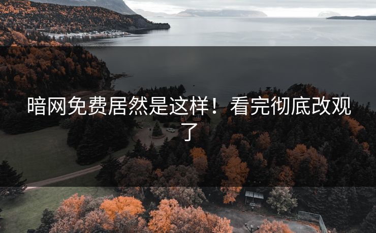 暗网免费居然是这样！看完彻底改观了