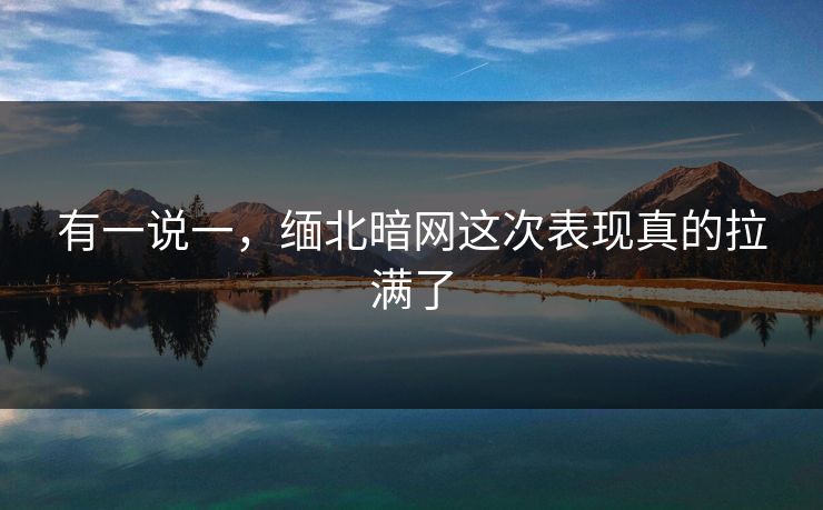有一说一，缅北暗网这次表现真的拉满了