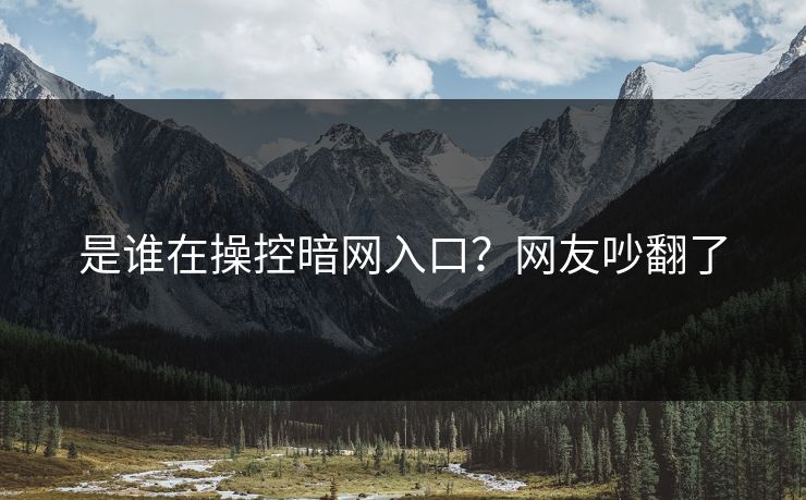 是谁在操控暗网入口？网友吵翻了