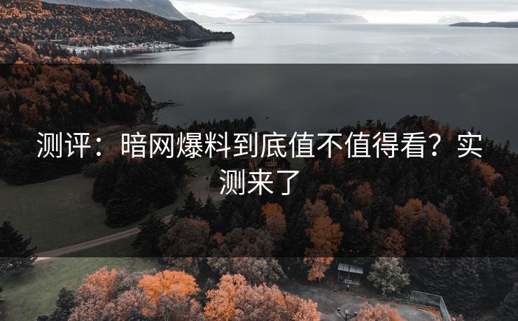 测评：暗网爆料到底值不值得看？实测来了