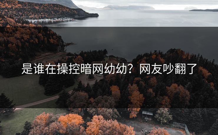 是谁在操控暗网幼幼？网友吵翻了