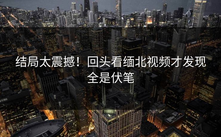 结局太震撼！回头看缅北视频才发现全是伏笔