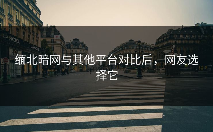 缅北暗网与其他平台对比后，网友选择它