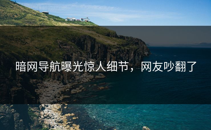 暗网导航曝光惊人细节，网友吵翻了