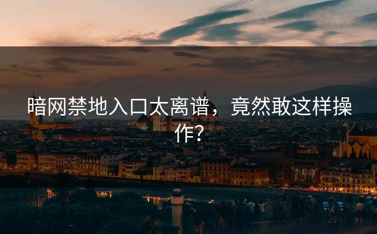 暗网禁地入口太离谱，竟然敢这样操作？
