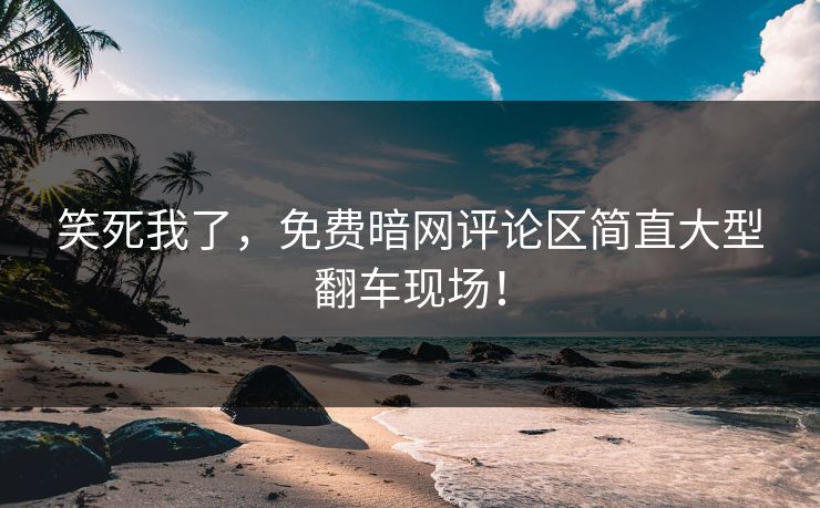 笑死我了，免费暗网评论区简直大型翻车现场！