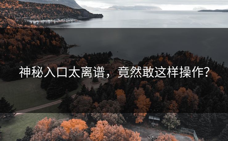 神秘入口太离谱，竟然敢这样操作？