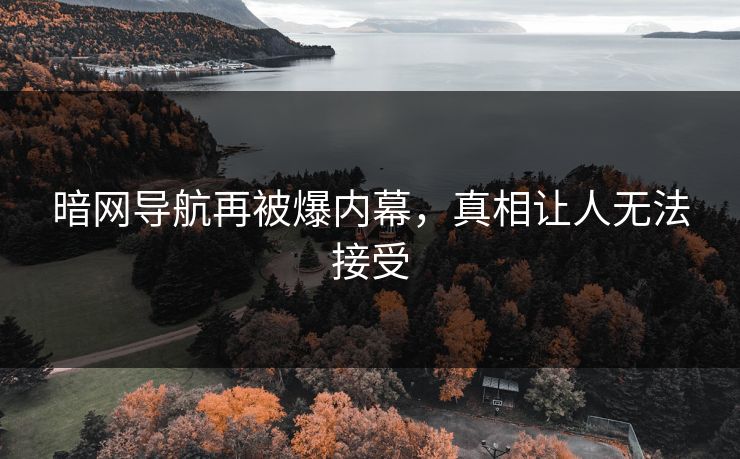暗网导航再被爆内幕，真相让人无法接受