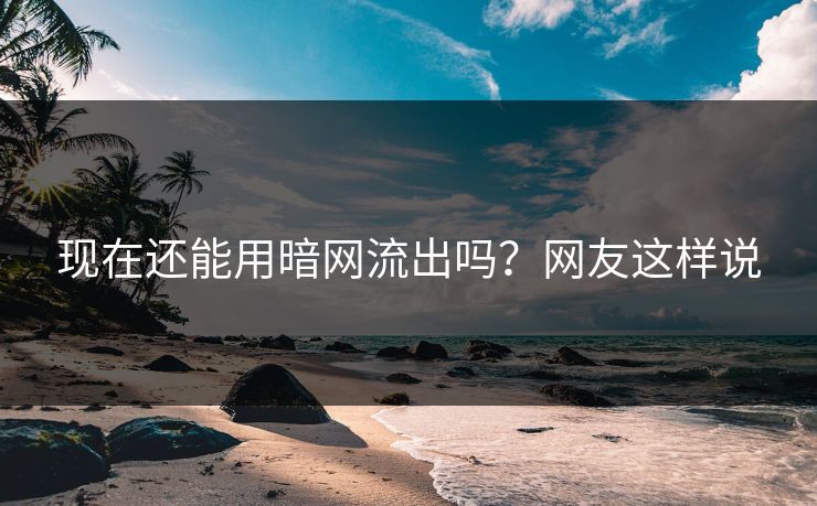 现在还能用暗网流出吗？网友这样说