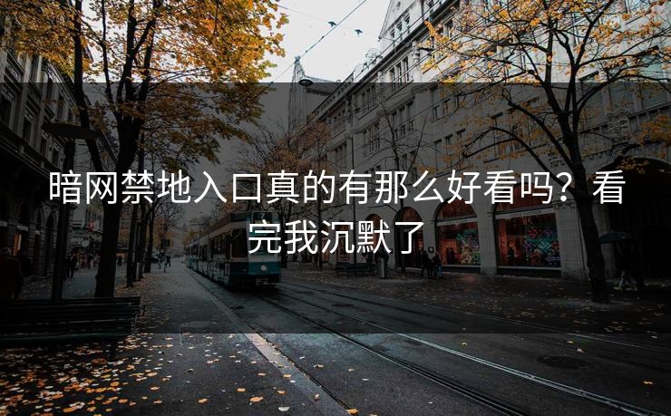 暗网禁地入口真的有那么好看吗？看完我沉默了