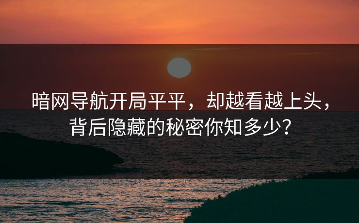 暗网导航开局平平，却越看越上头，背后隐藏的秘密你知多少？