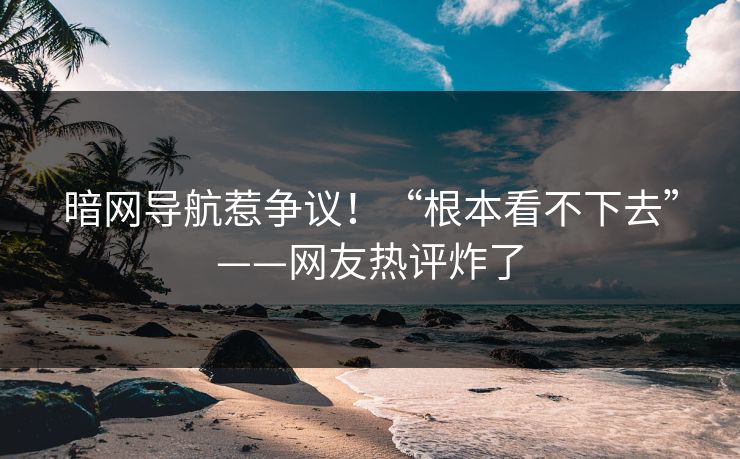 暗网导航惹争议！“根本看不下去”——网友热评炸了
