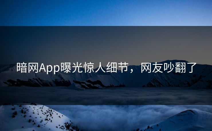 暗网App曝光惊人细节，网友吵翻了