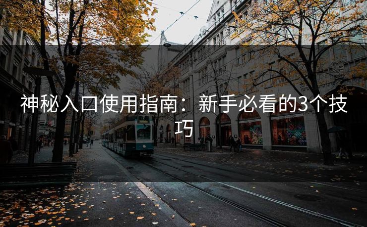 神秘入口使用指南：新手必看的3个技巧
