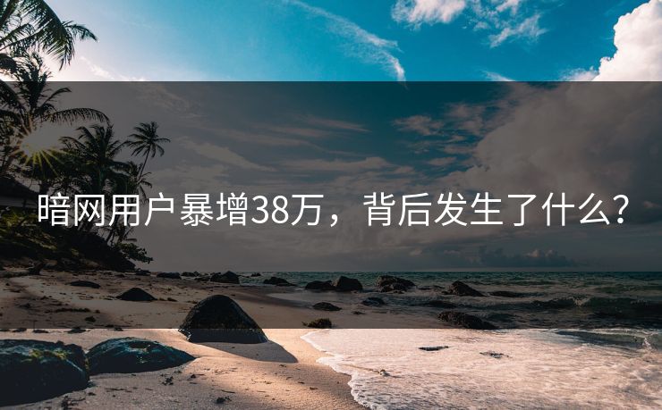 暗网用户暴增38万，背后发生了什么？