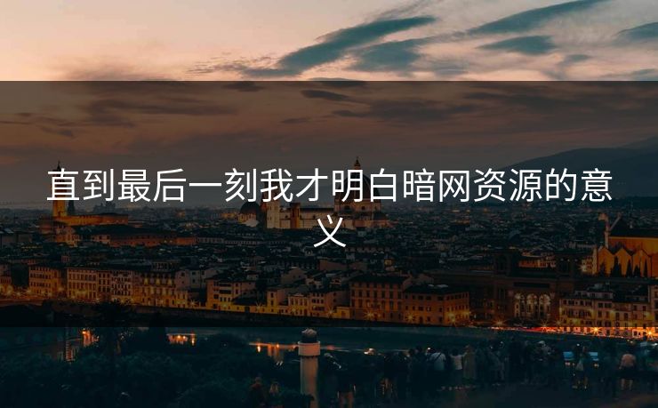 直到最后一刻我才明白暗网资源的意义