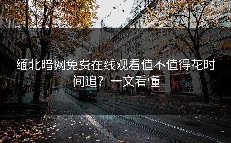 缅北暗网免费在线观看值不值得花时间追？一文看懂