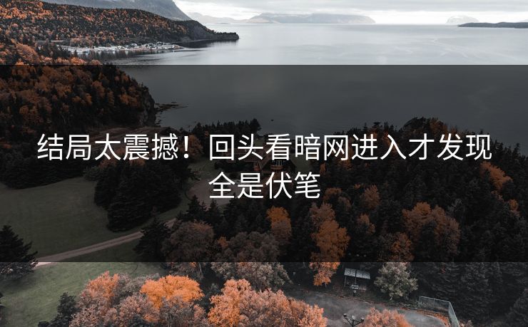 结局太震撼！回头看暗网进入才发现全是伏笔