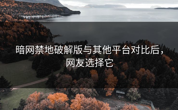 暗网禁地破解版与其他平台对比后，网友选择它