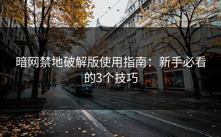 暗网禁地破解版使用指南：新手必看的3个技巧