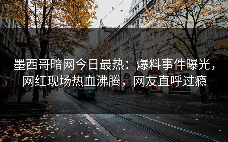 墨西哥暗网今日最热：爆料事件曝光，网红现场热血沸腾，网友直呼过瘾