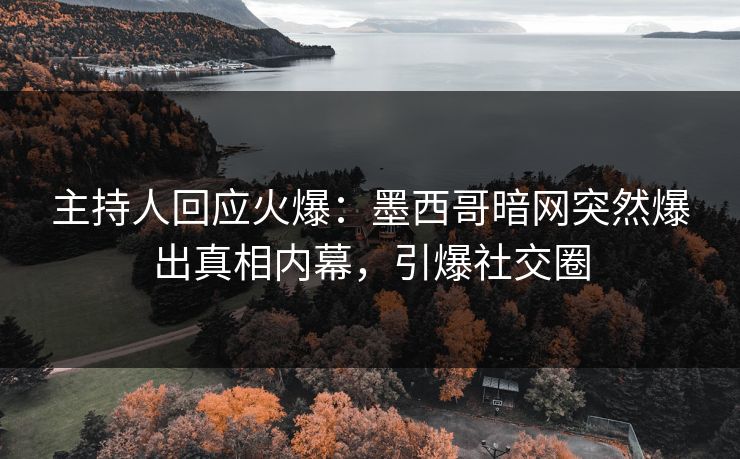 主持人回应火爆：墨西哥暗网突然爆出真相内幕，引爆社交圈