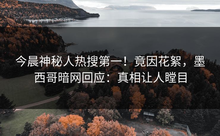 今晨神秘人热搜第一！竟因花絮，墨西哥暗网回应：真相让人瞠目