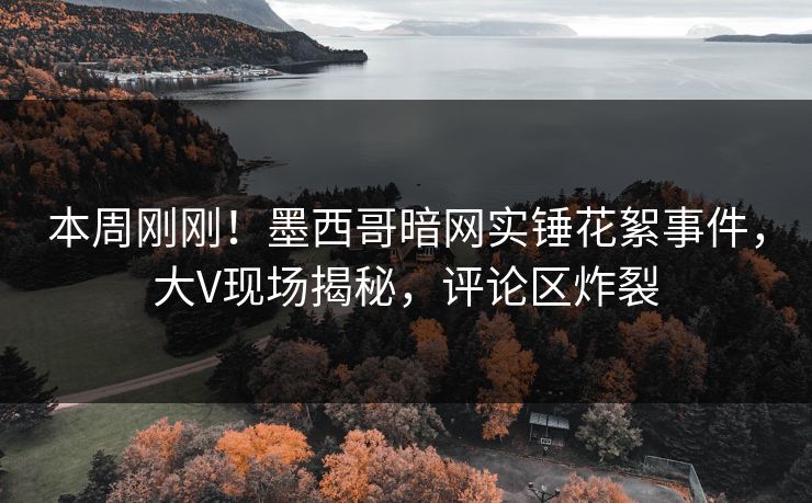 本周刚刚！墨西哥暗网实锤花絮事件，大V现场揭秘，评论区炸裂