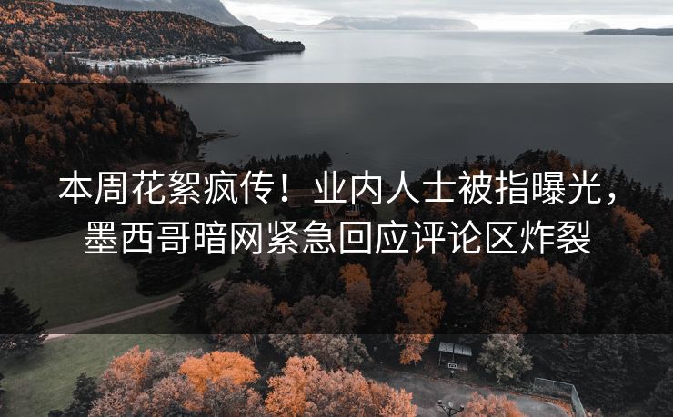 本周花絮疯传！业内人士被指曝光，墨西哥暗网紧急回应评论区炸裂