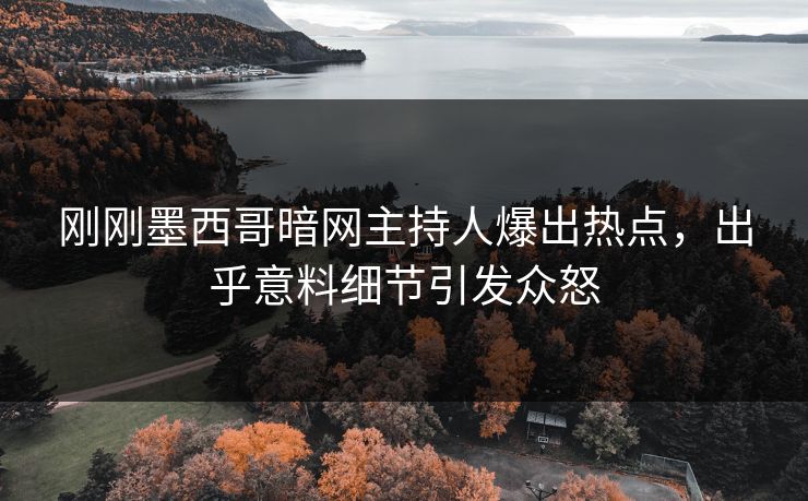 刚刚墨西哥暗网主持人爆出热点，出乎意料细节引发众怒