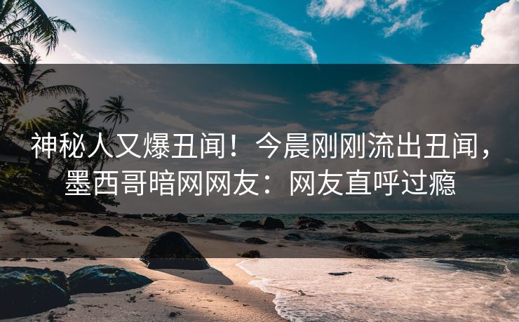 神秘人又爆丑闻！今晨刚刚流出丑闻，墨西哥暗网网友：网友直呼过瘾