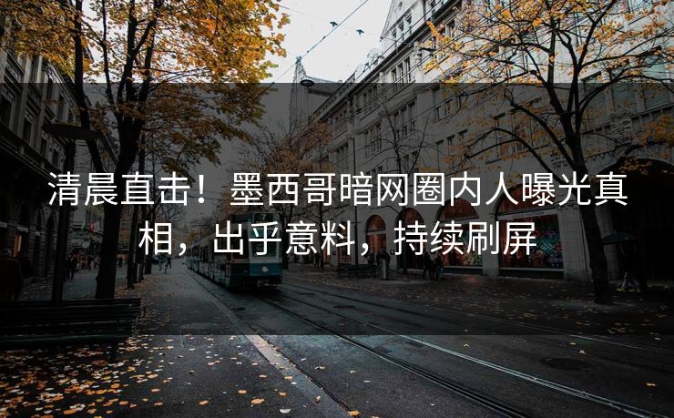 清晨直击！墨西哥暗网圈内人曝光真相，出乎意料，持续刷屏