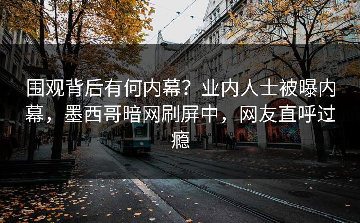 围观背后有何内幕？业内人士被曝内幕，墨西哥暗网刷屏中，网友直呼过瘾