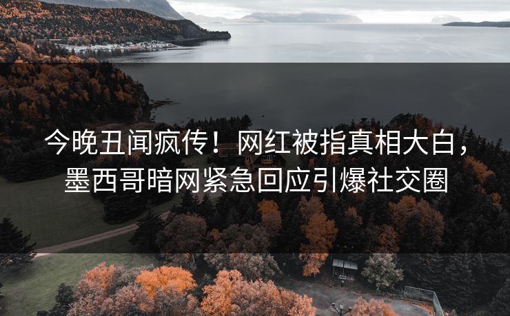 今晚丑闻疯传！网红被指真相大白，墨西哥暗网紧急回应引爆社交圈