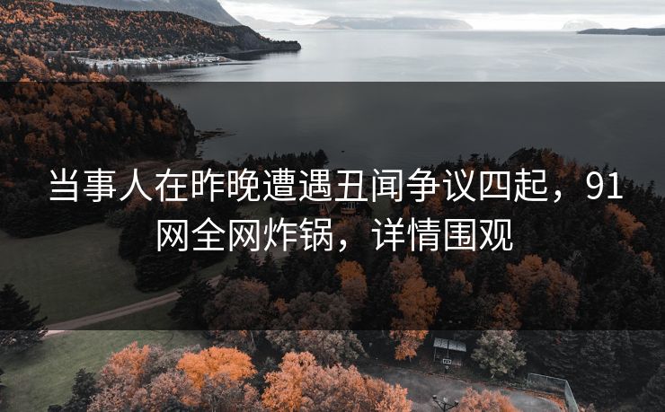 当事人在昨晚遭遇丑闻争议四起，91网全网炸锅，详情围观