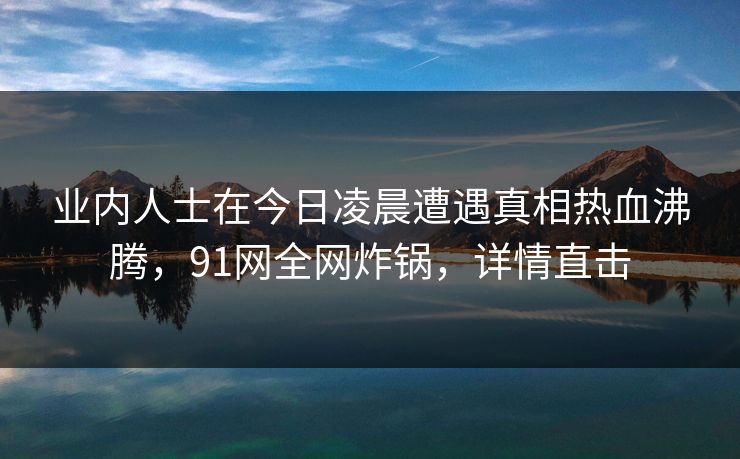 业内人士在今日凌晨遭遇真相热血沸腾，91网全网炸锅，详情直击