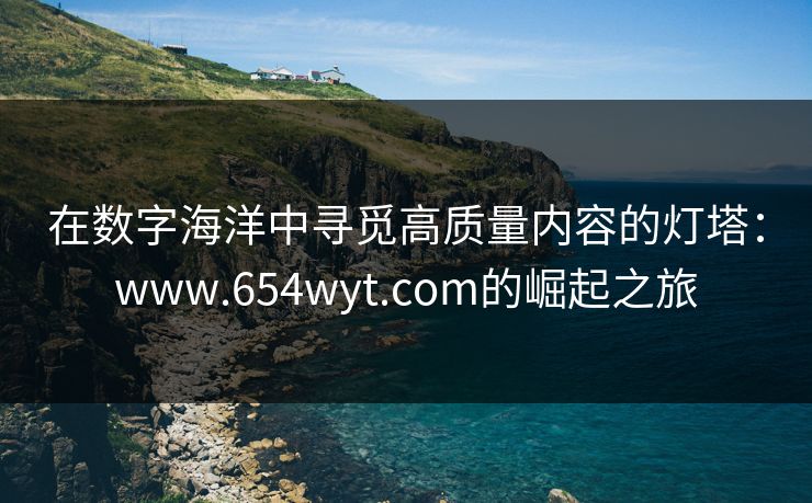 在数字海洋中寻觅高质量内容的灯塔：www.654wyt.com的崛起之旅