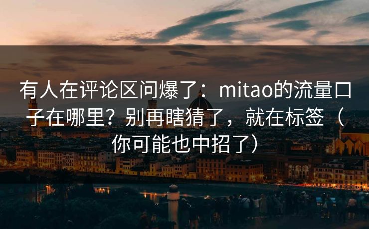 有人在评论区问爆了：mitao的流量口子在哪里？别再瞎猜了，就在标签（你可能也中招了）